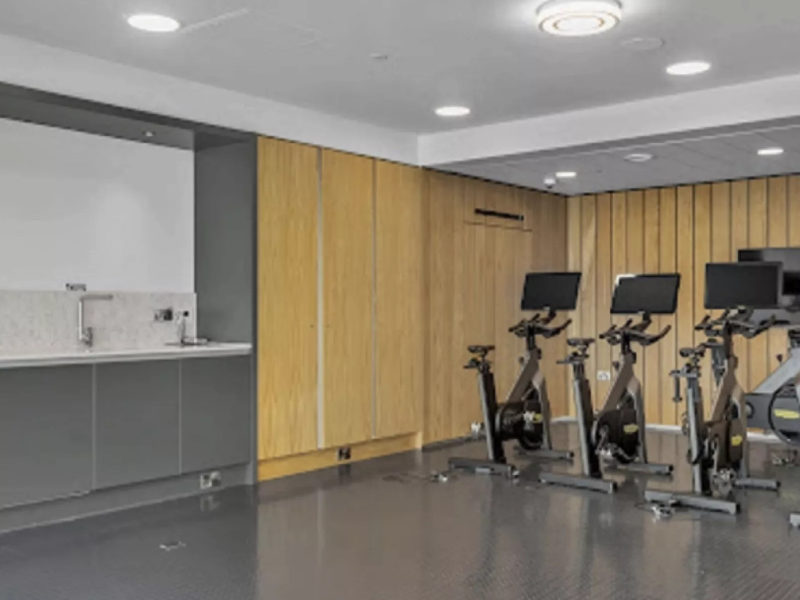 Olympic Way Apt in Wembley Park-Binnen