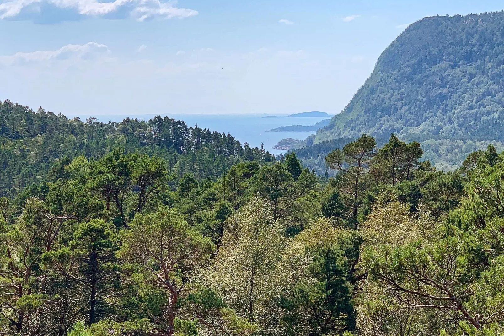 04499 TYSVÆR-Buitenlucht