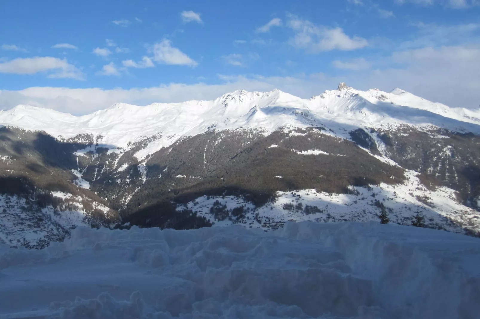 Chalet Perle des Collons-Tuin winter