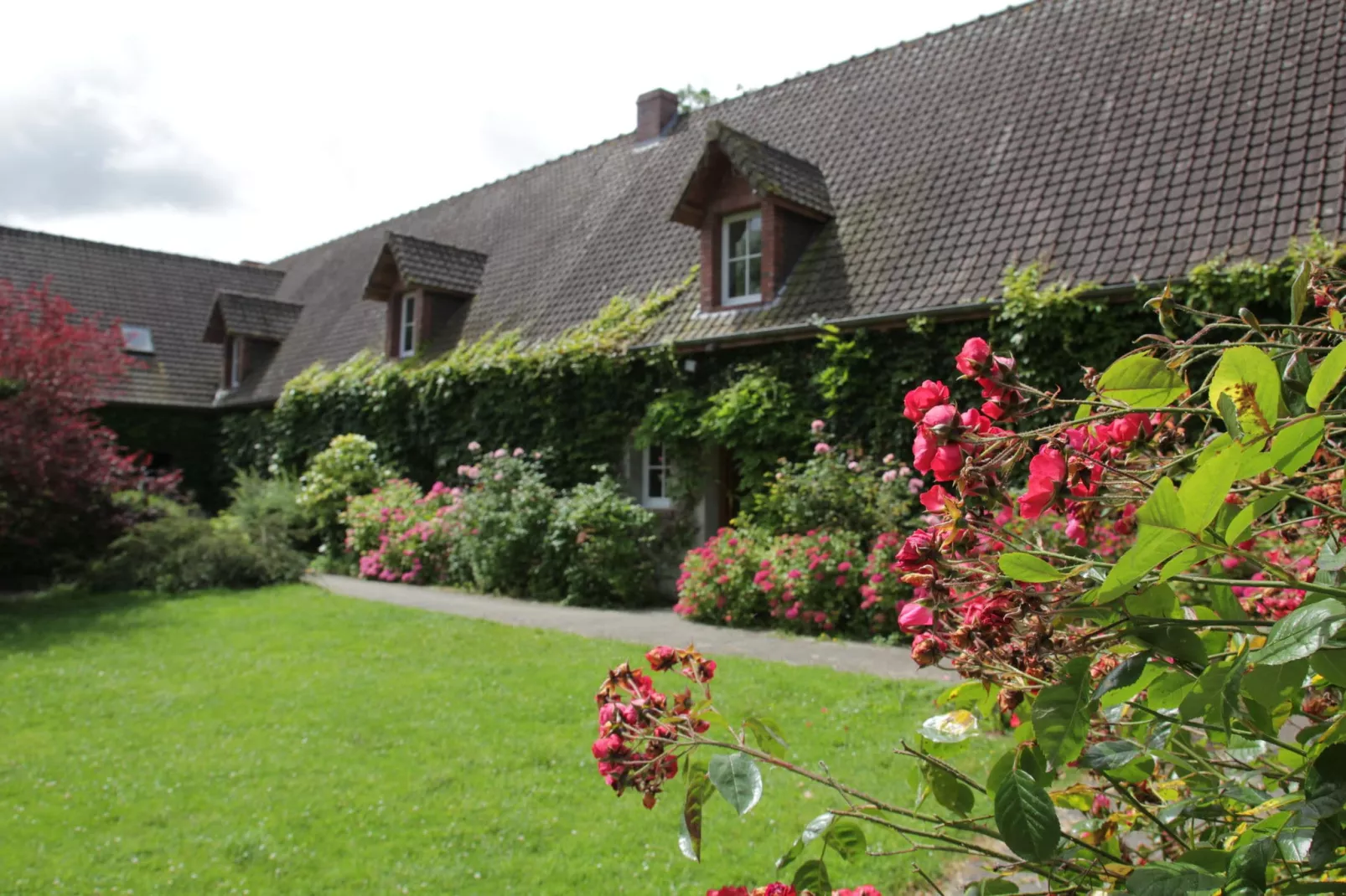 hallreception