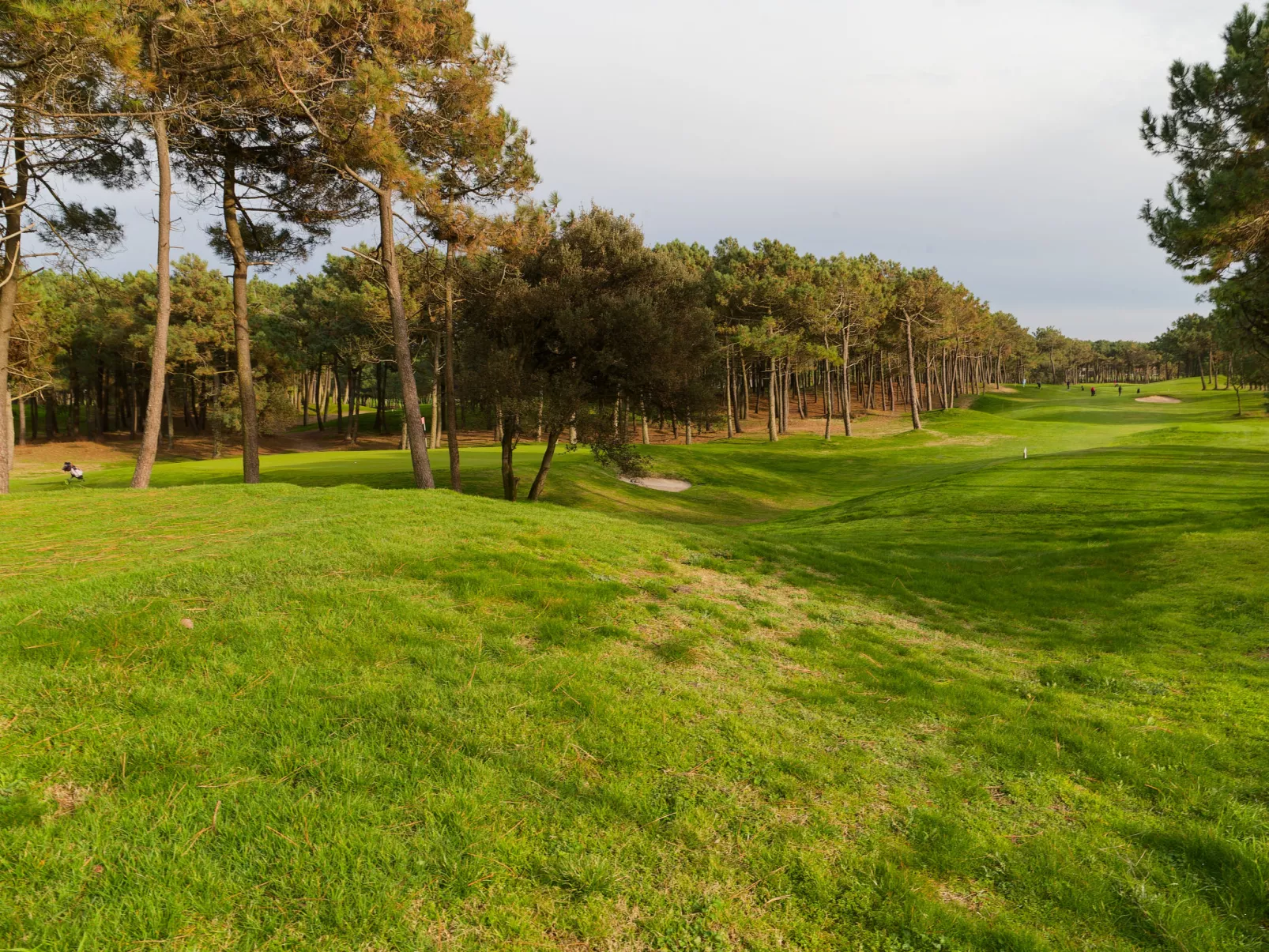 Parc de la Résidence-Buiten