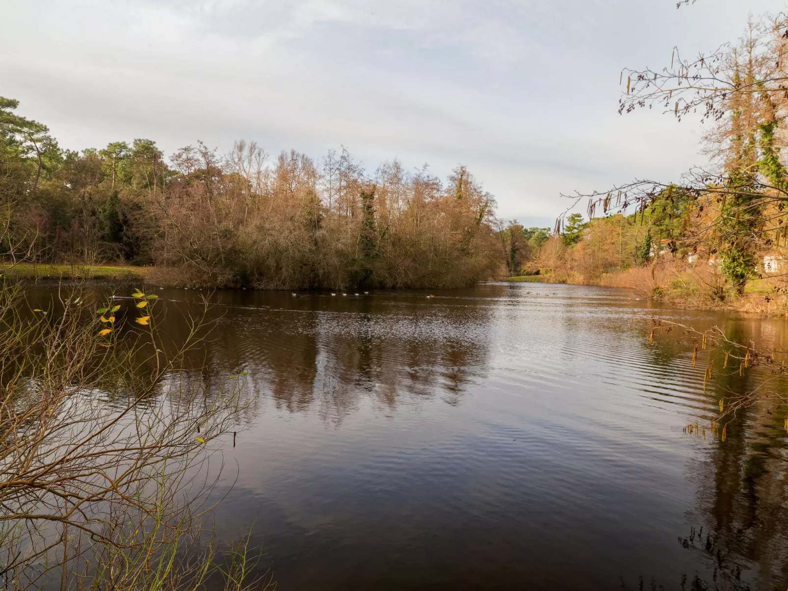 Parc de la Résidence-Buiten