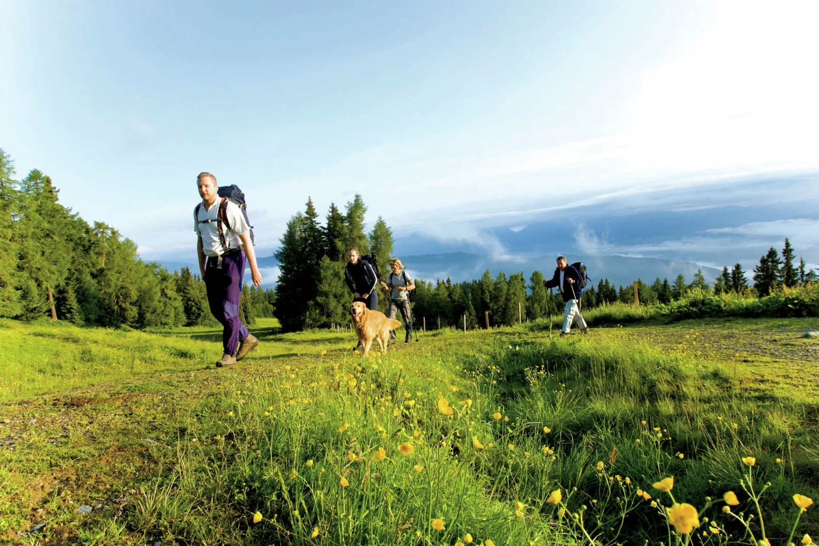 Ferienpark Kreischberg 1-Gebieden zomer 5km