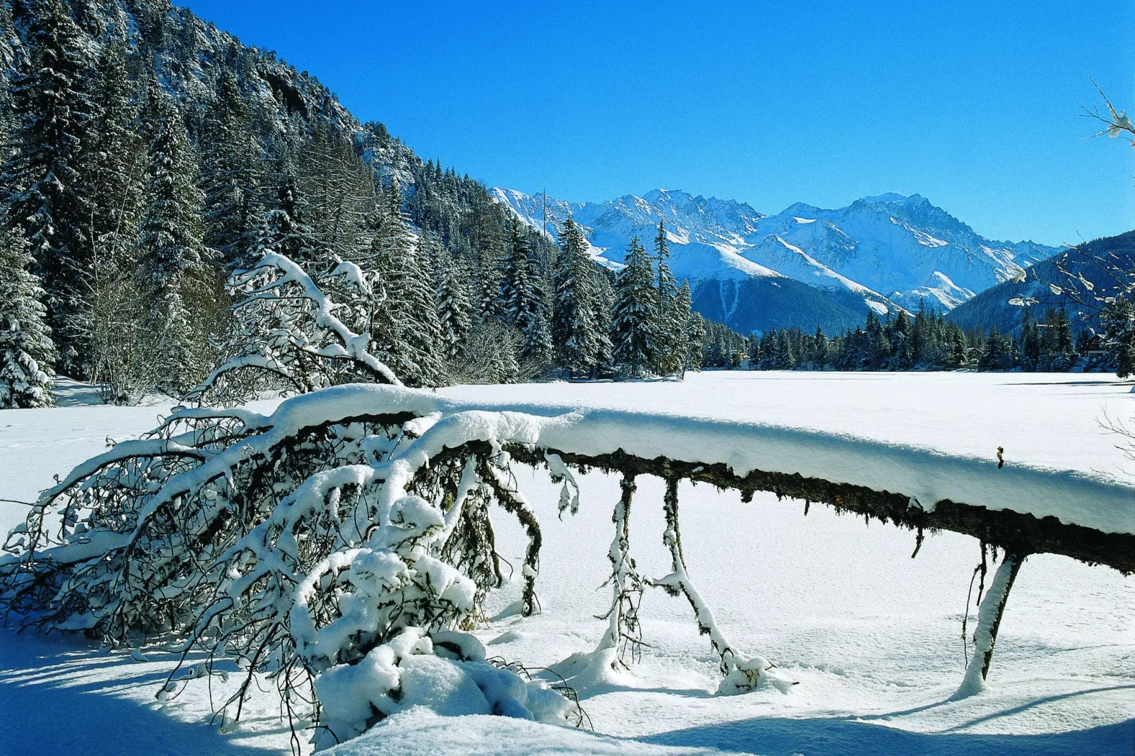 Des Etoiles-Gebied winter 20km