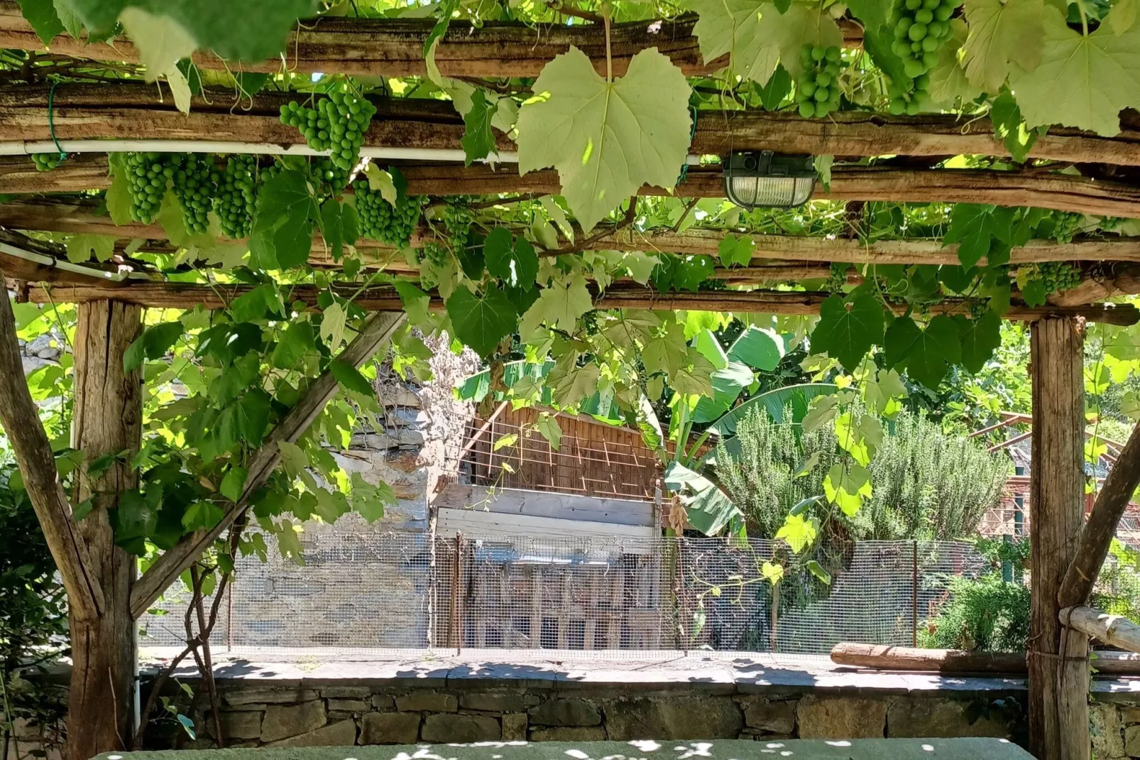 Casa al Torchio-Tuinen zomer
