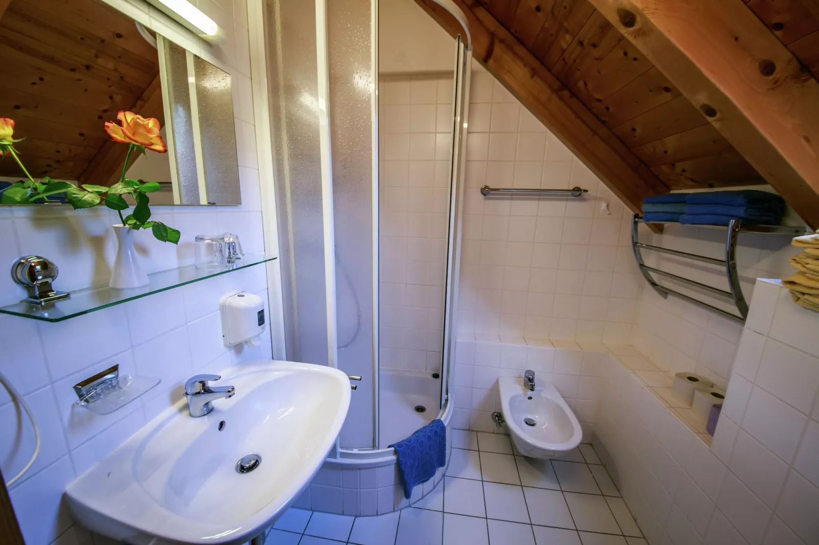 Ferienpark Kreischberg 16-Badkamer
