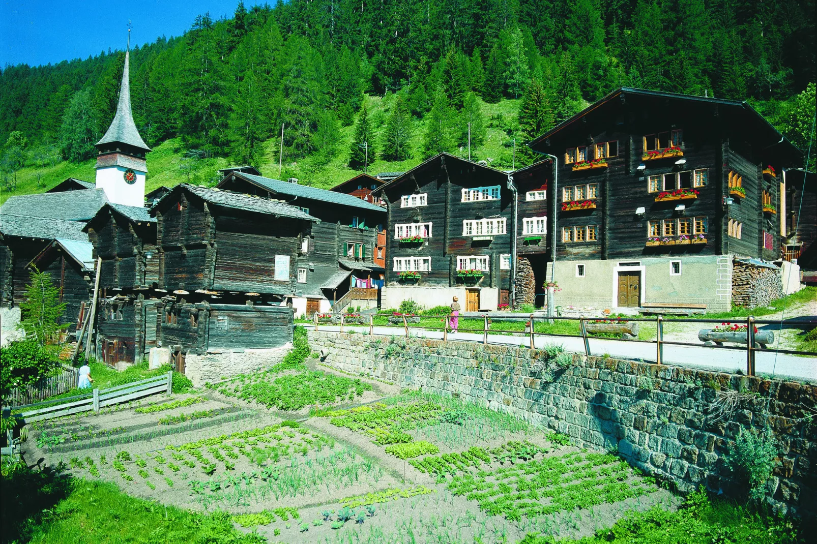 Chalet Albert-Gebieden zomer 20km