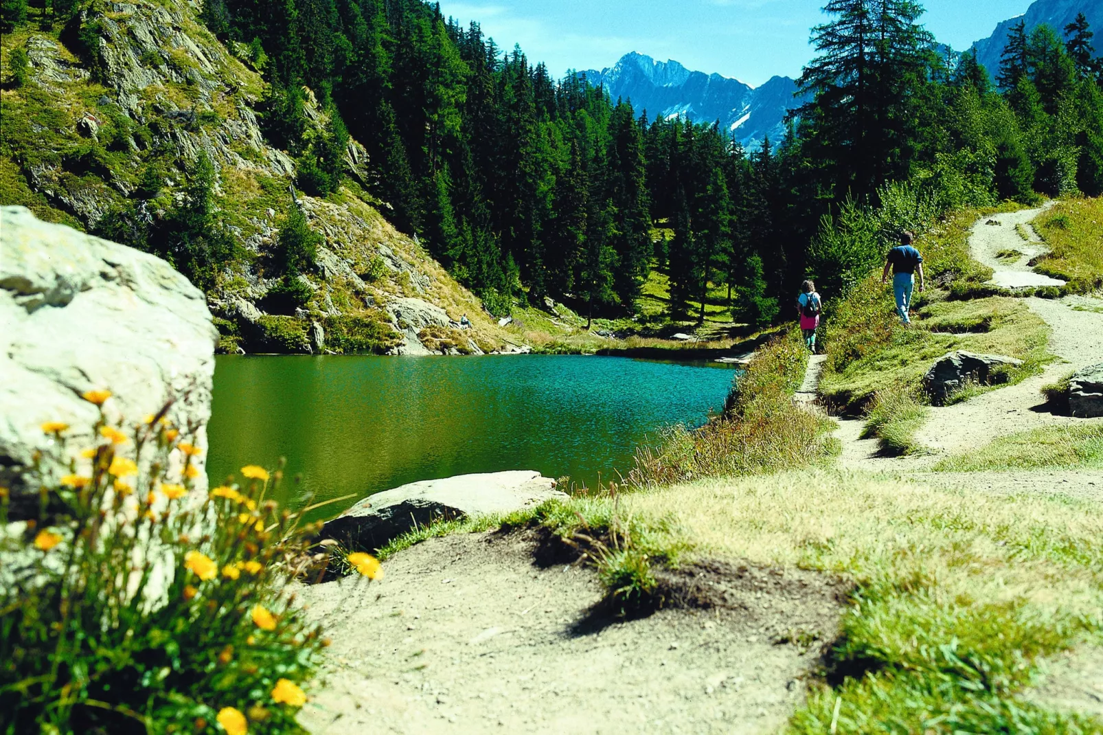 Chalet Albert-Gebieden zomer 20km