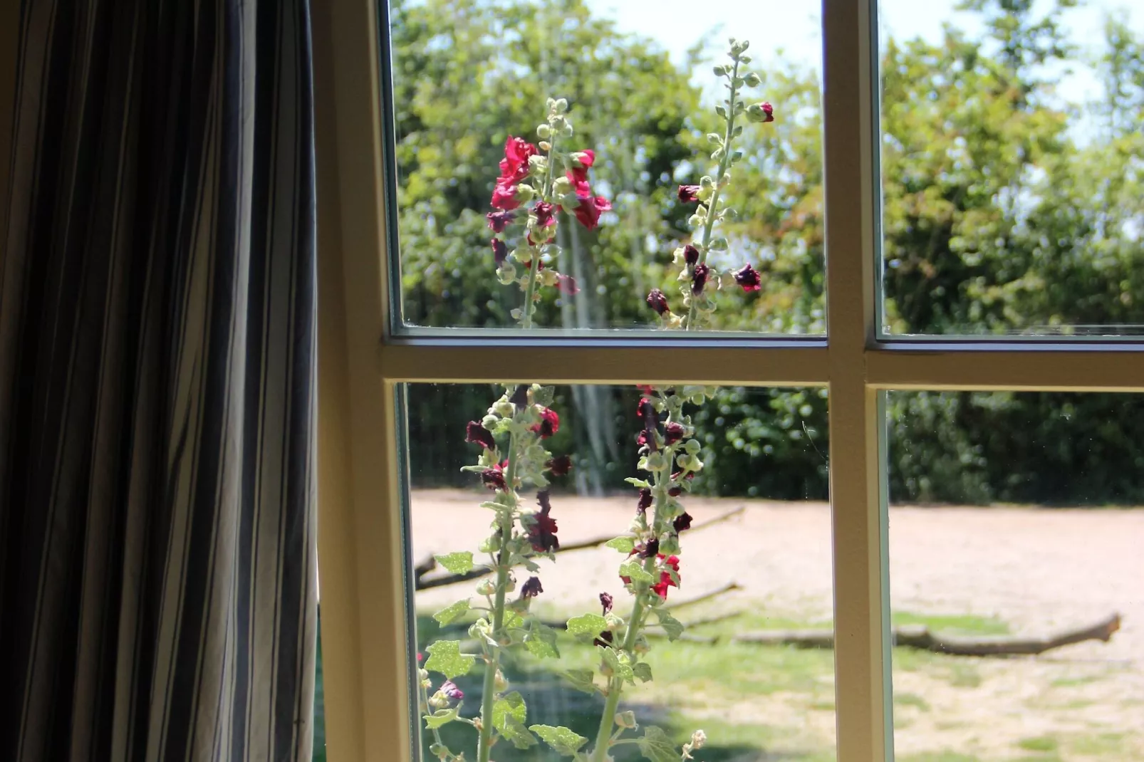 Vakantiehuisje 3 Aarde Groene Camping Lage Zwaluwe-Uitzicht zomer