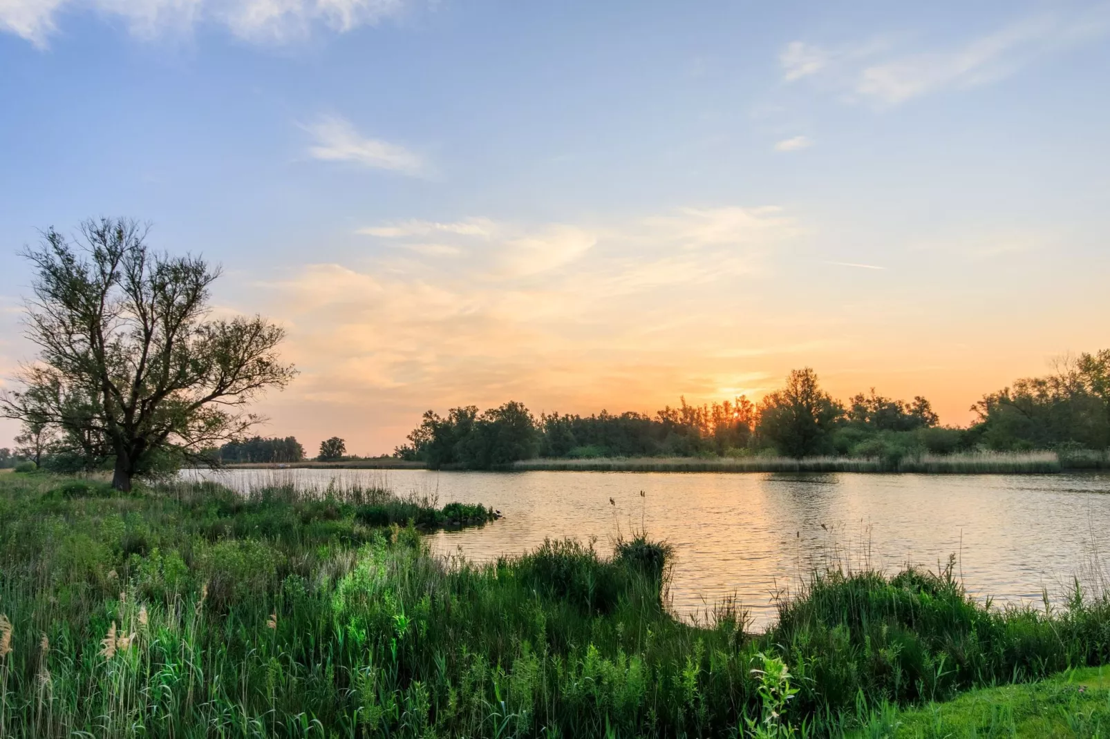 Vakantiehuisje 3 Aarde Groene Camping Lage Zwaluwe-Gebieden zomer 5km
