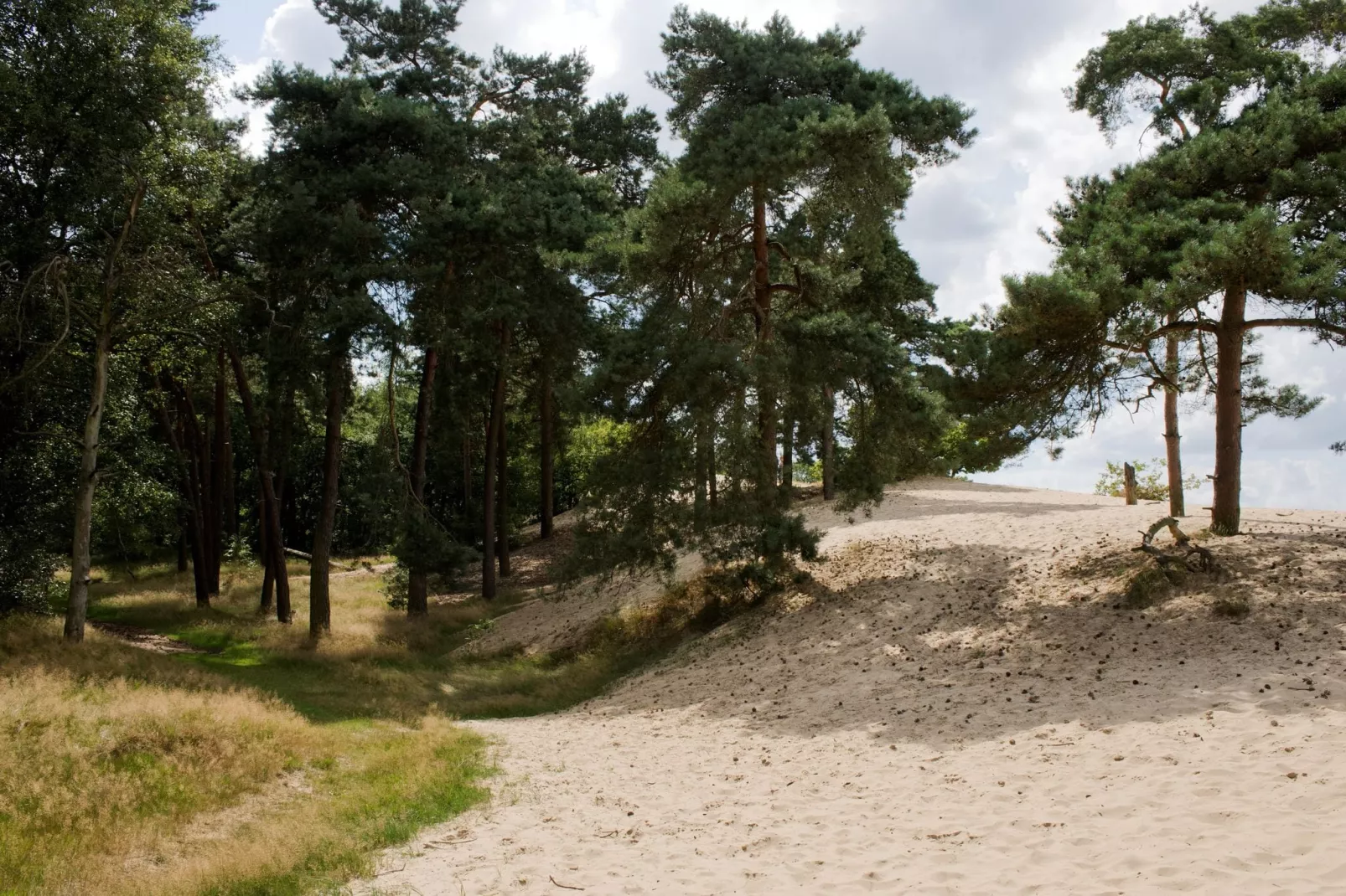 Recreatiepark Duinhoeve 4-Gebieden zomer 1km