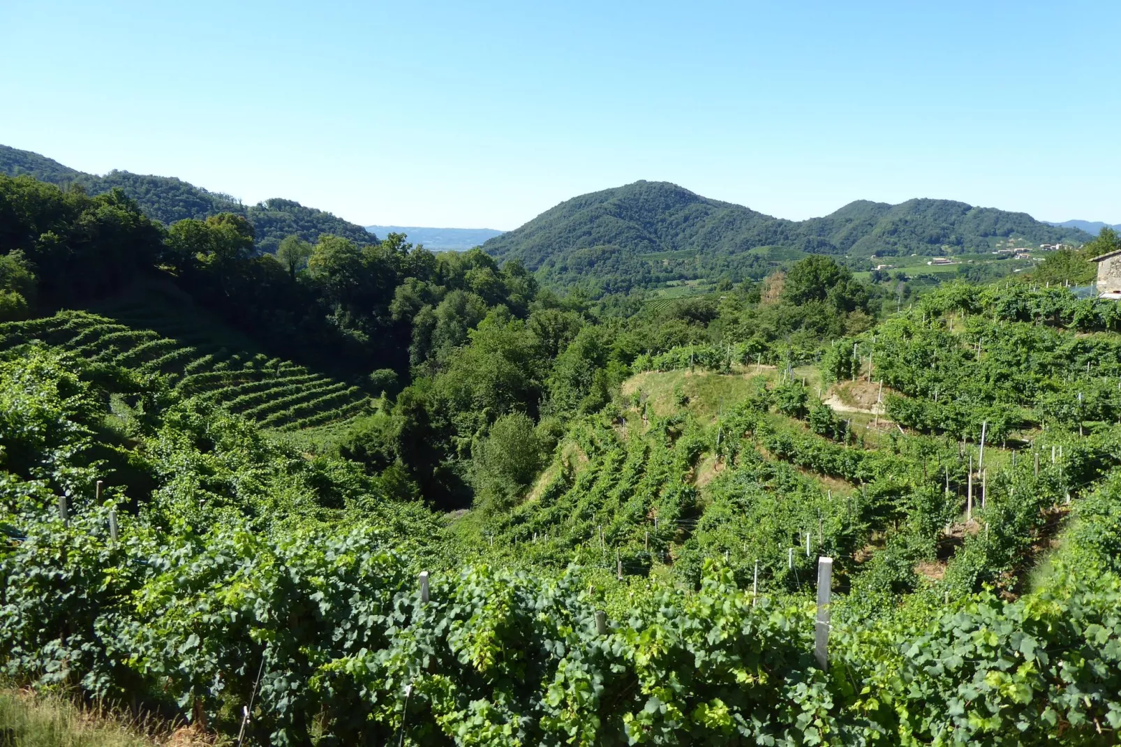 Riva dei Tor-Uitzicht zomer