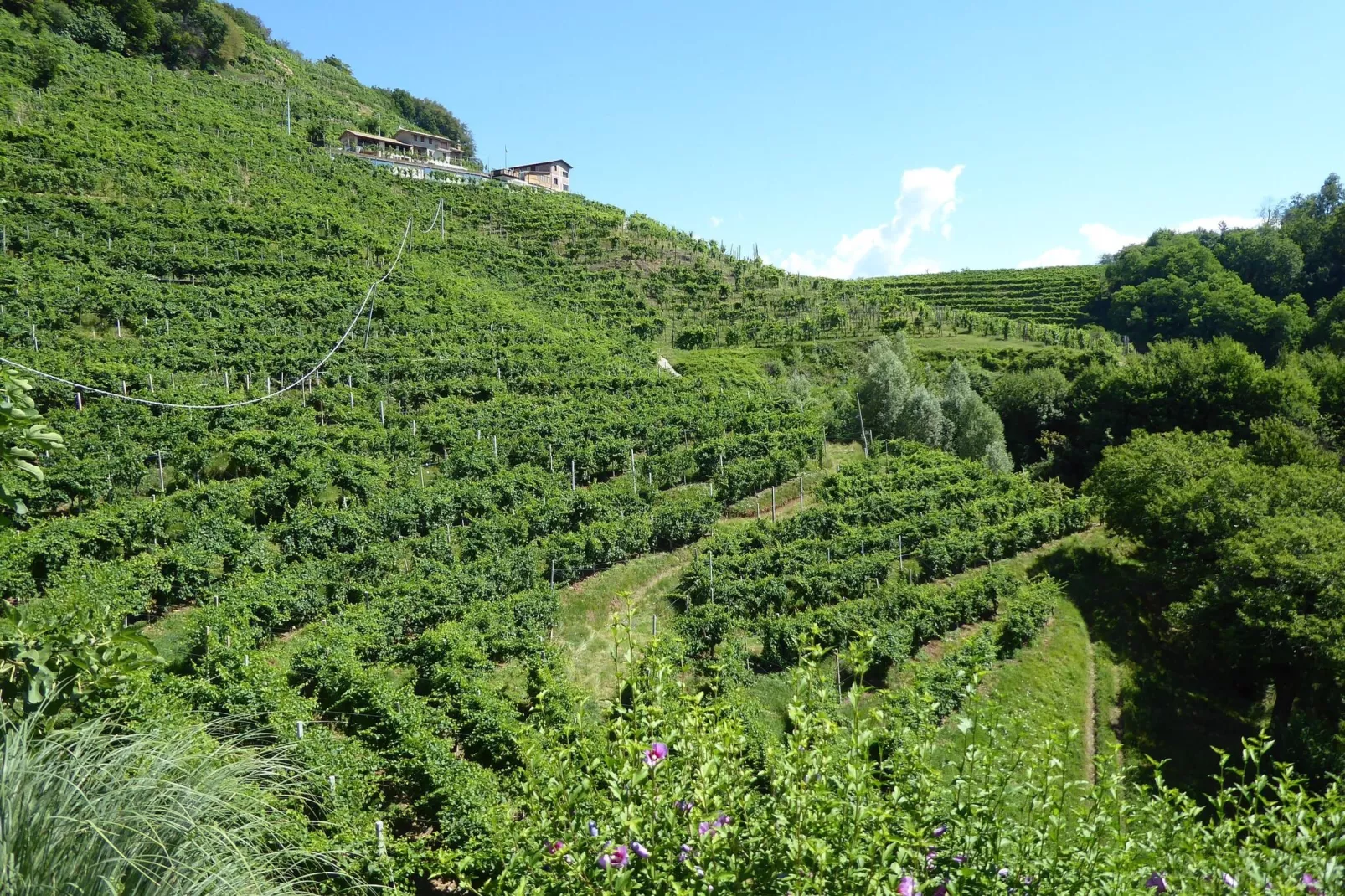 Riva dei Tor-Uitzicht zomer