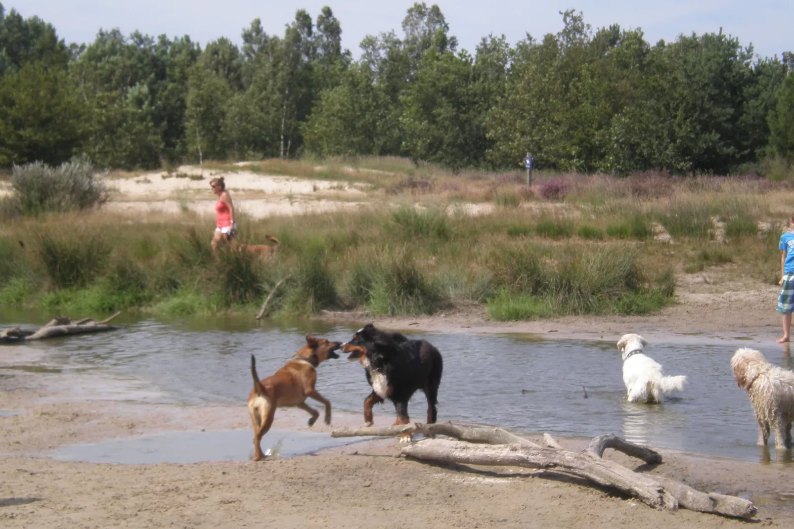 Recreatiepark Duinhoeve 6-Gebieden zomer 1km