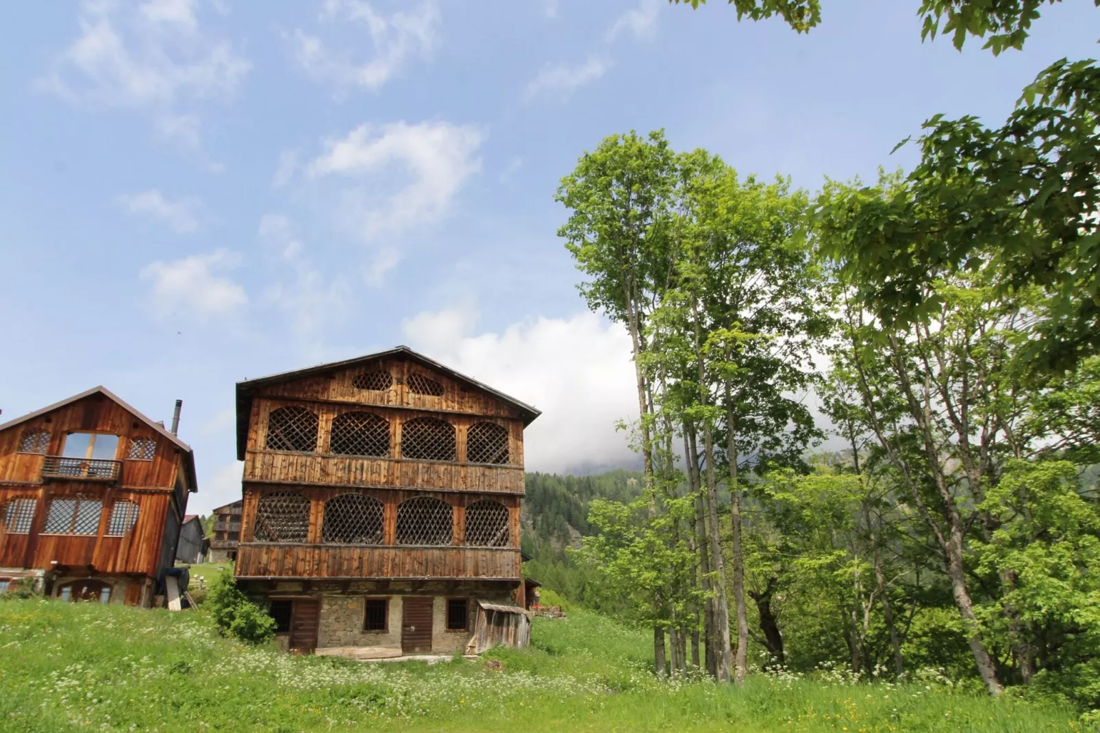 CASA OLLI - Gebieden zomer 1km
