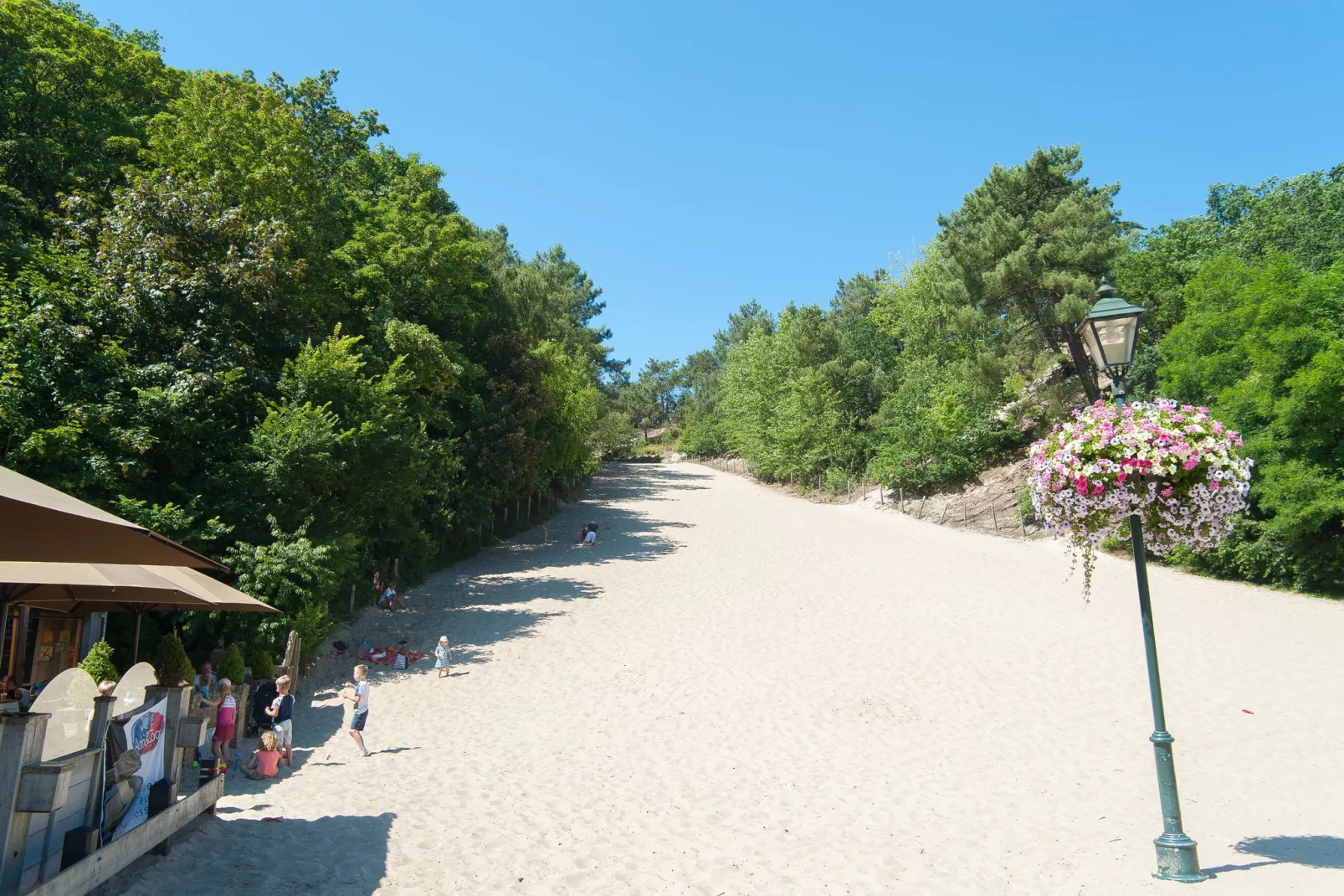 Wilca Hoeve-Gebieden zomer 1km