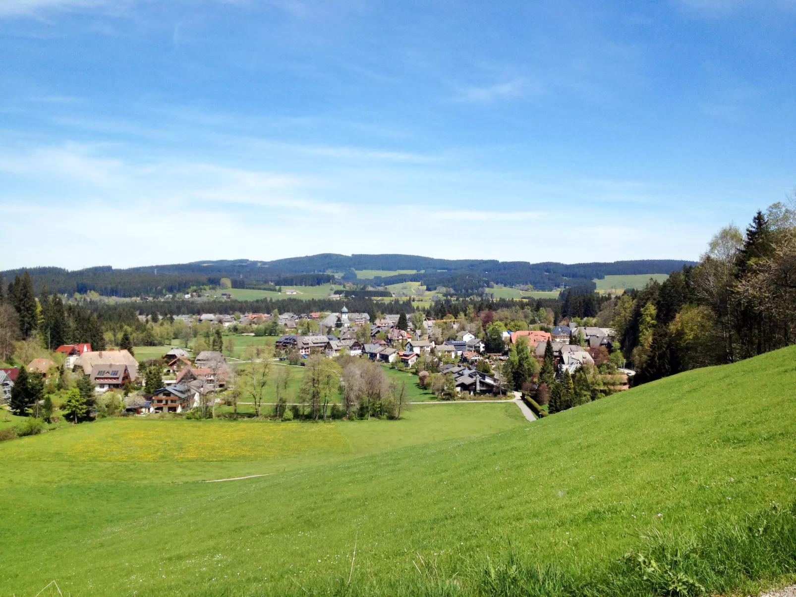 Baden-Baden-Omgeving