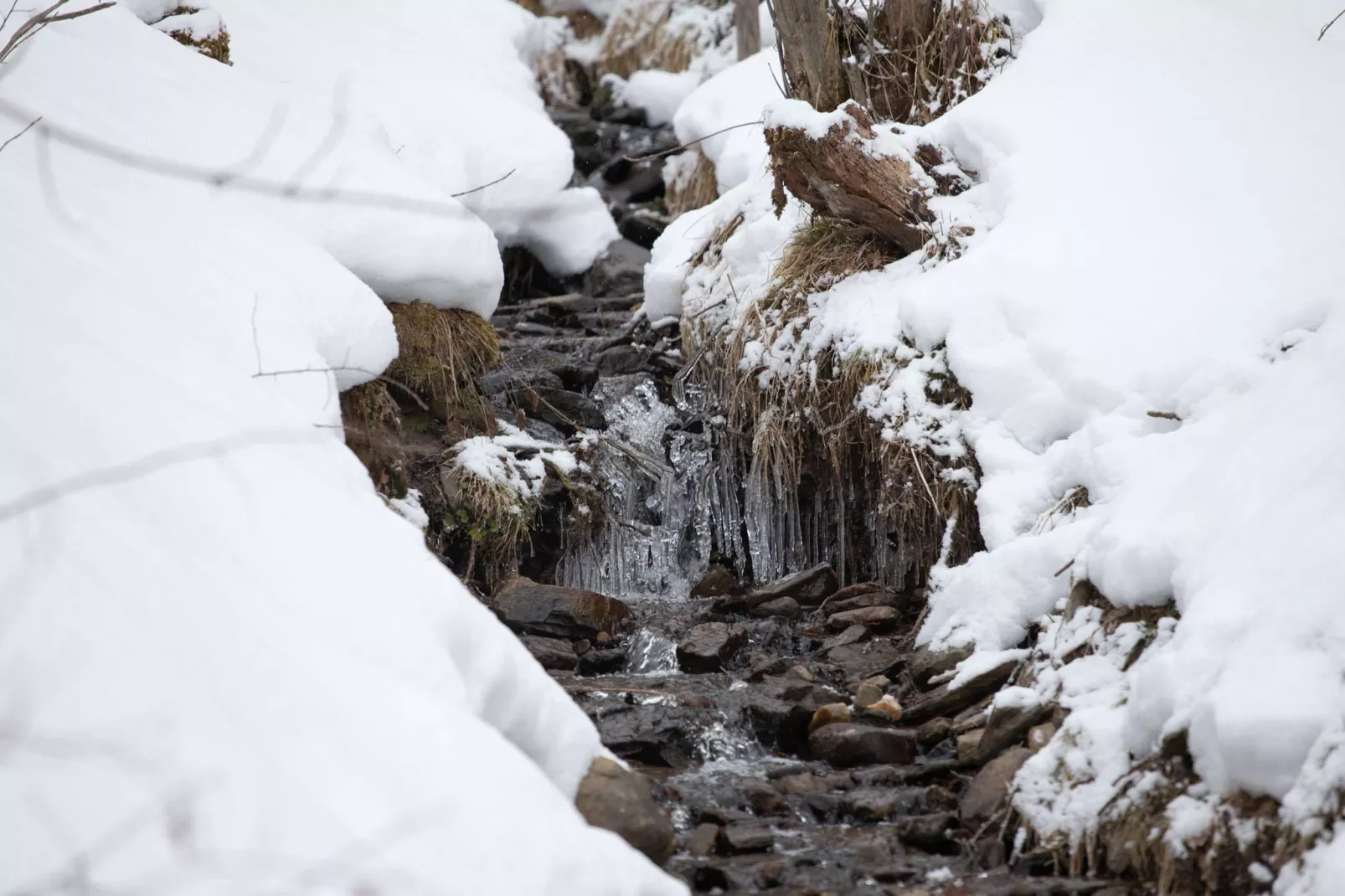 Chalet De Berghut-Gebied winter 5km