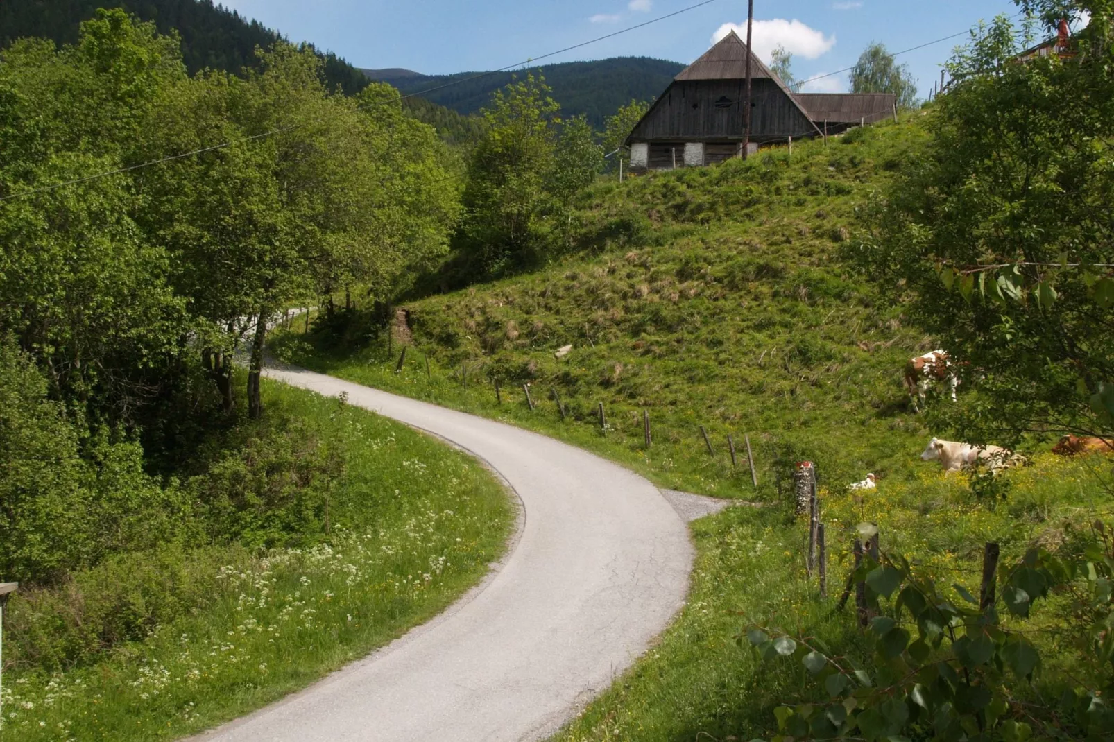 Chalet De Berghut-Uitzicht zomer