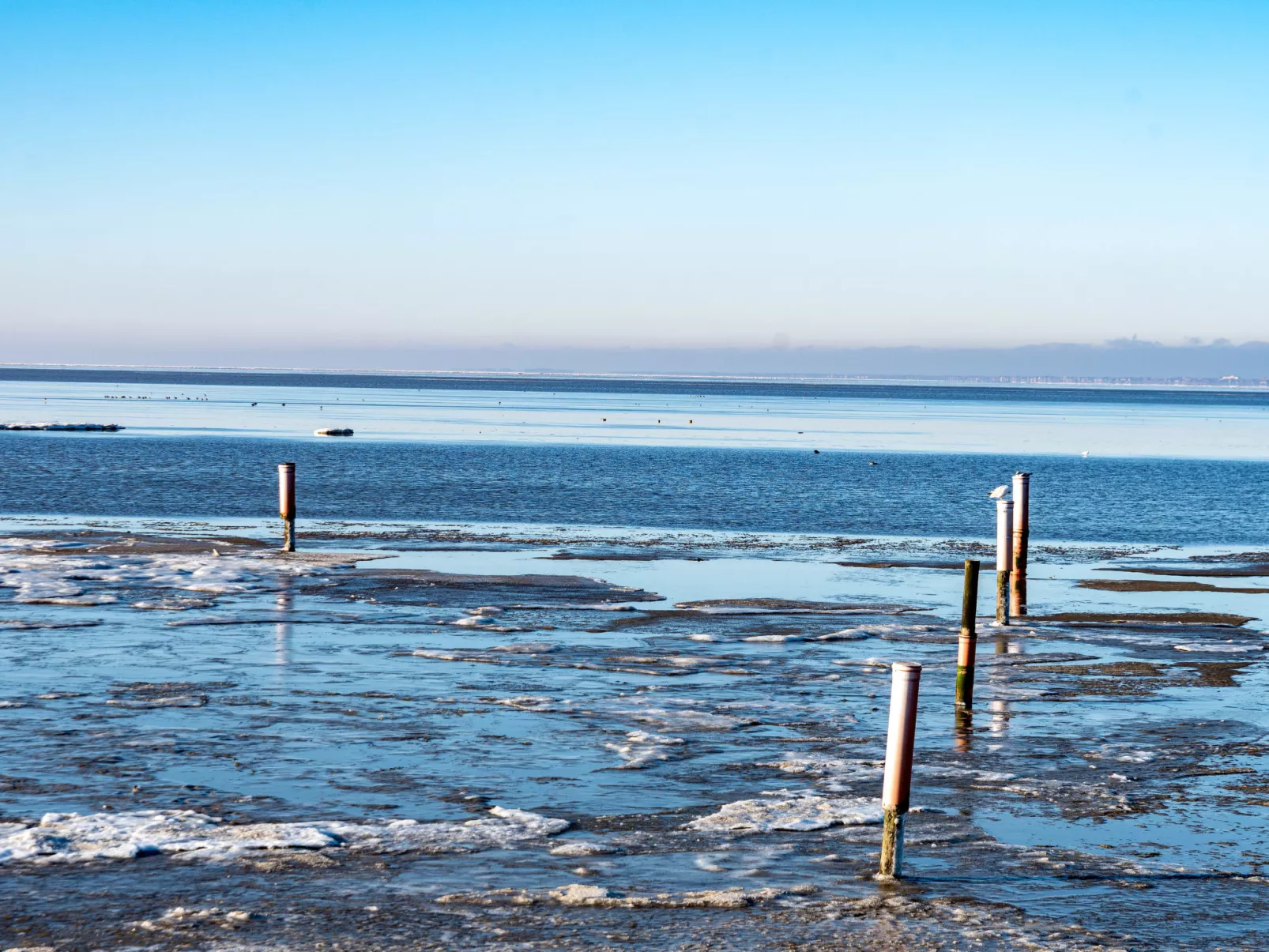 Strandkorb-Omgeving