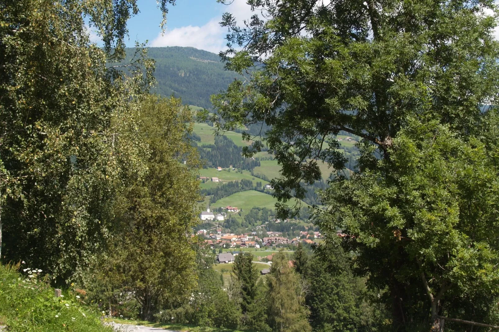 Chalet De Berghut-Gebieden zomer 1km