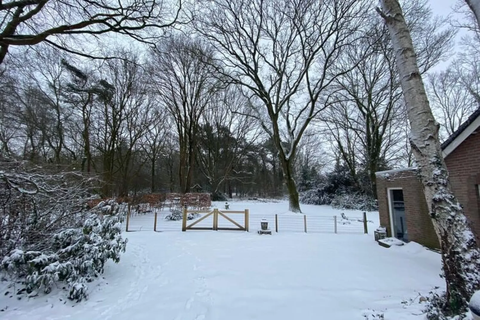 Vier Vogelenzang-Gebied winter 1km