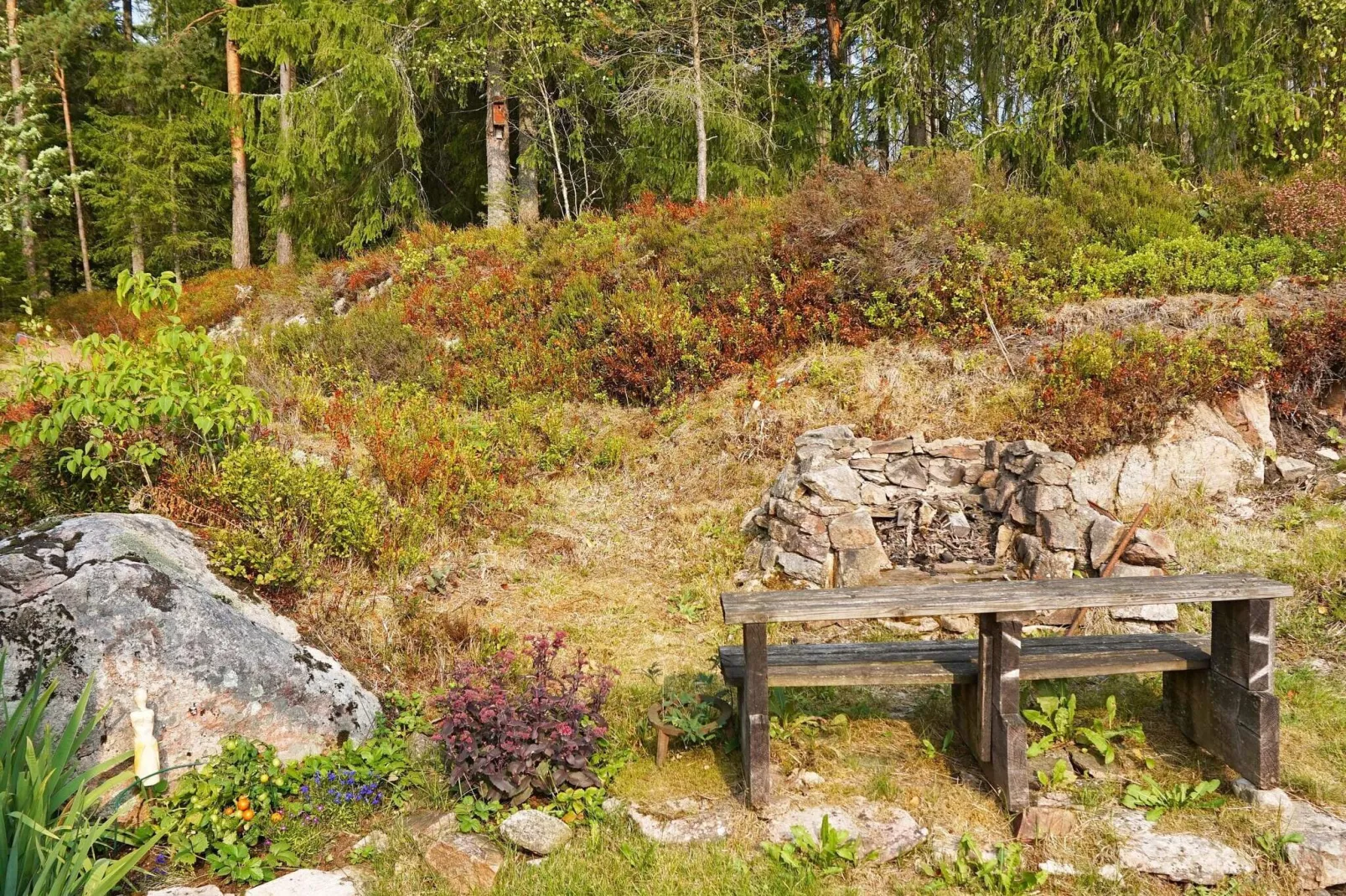 4 persoons vakantie huis in SVANEHOLM-Buitenlucht