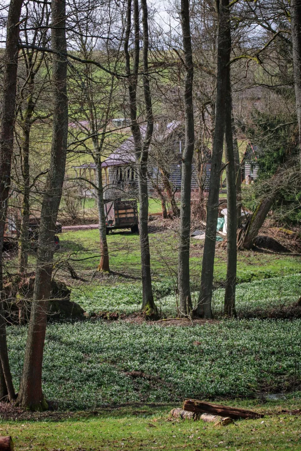 Luxe Timber Lodge & Pet Retreat-Omgeving