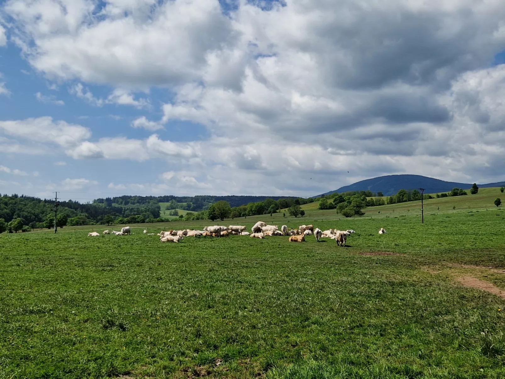 Lesní plovárna-Omgeving