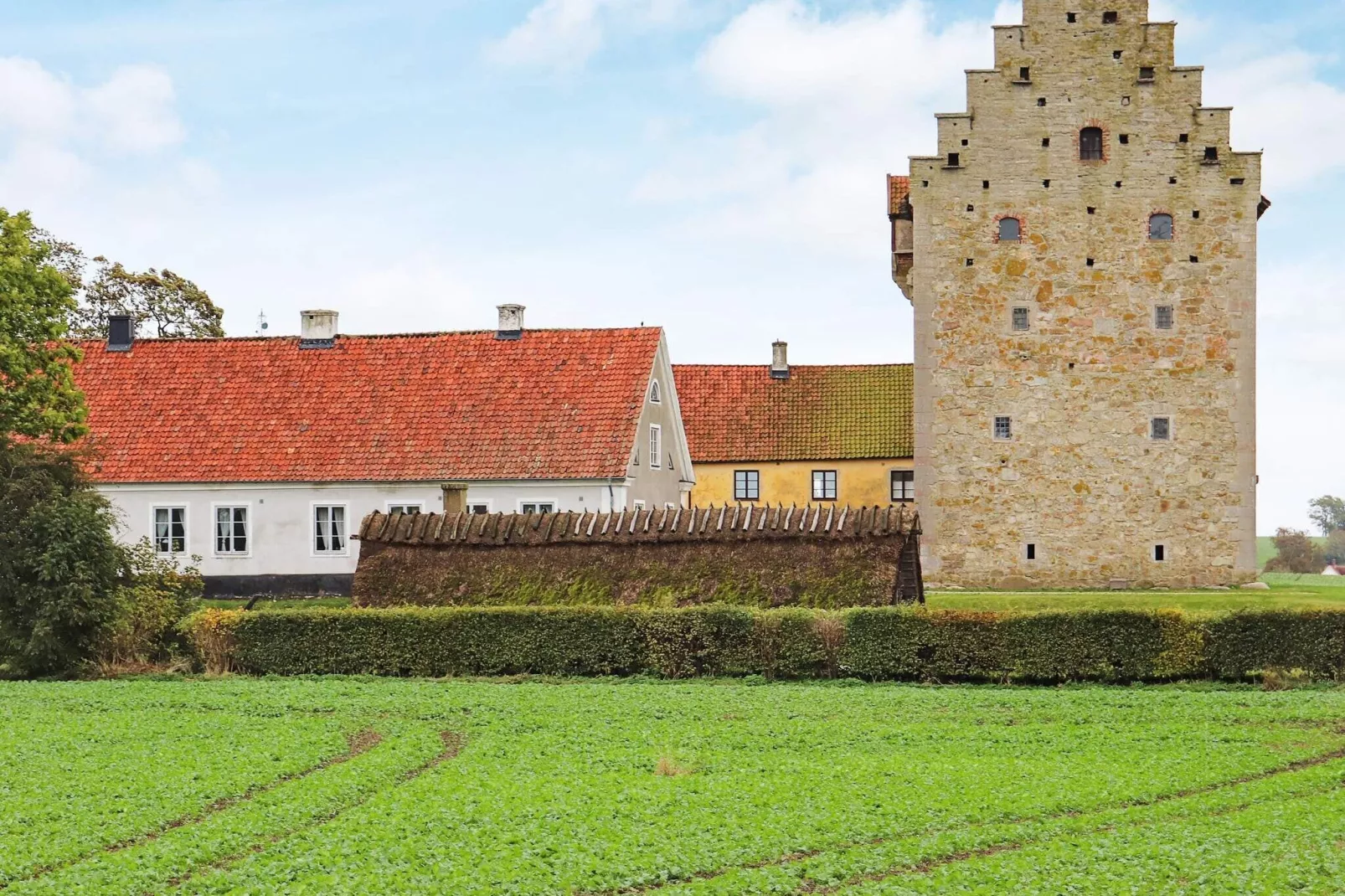 8 persoons vakantie huis in HAMMENHÖG-Buitenlucht