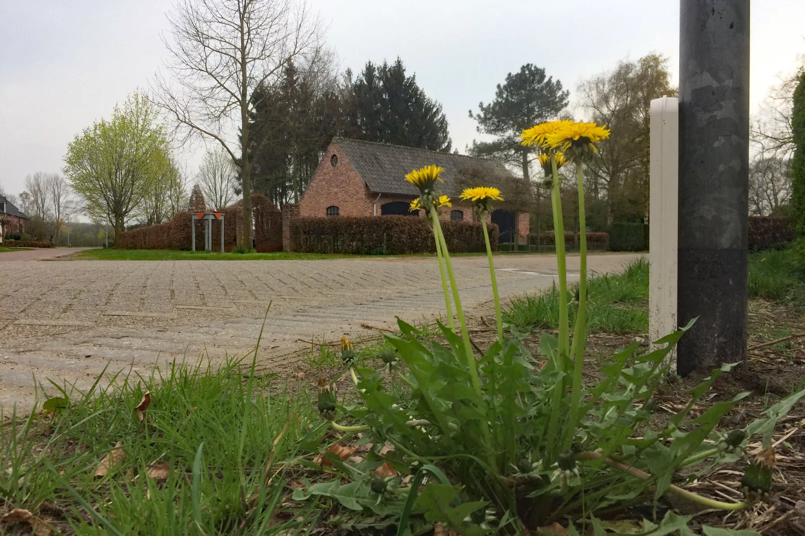 Dorpswoning De Zeelberg-Buitenkant zomer