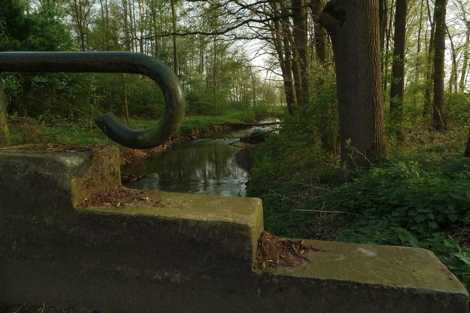 Dorpswoning De Zeelberg-Gebieden zomer 1km