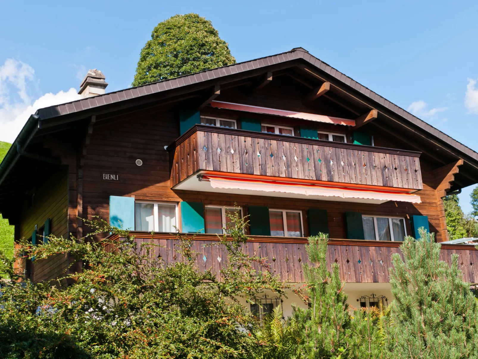 Chalet Bienli Oben-Buiten