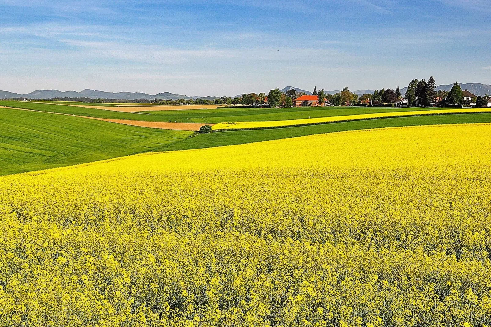 Panoramisch Skanelanga Toevluchtsoord-By Traum-Uitzicht