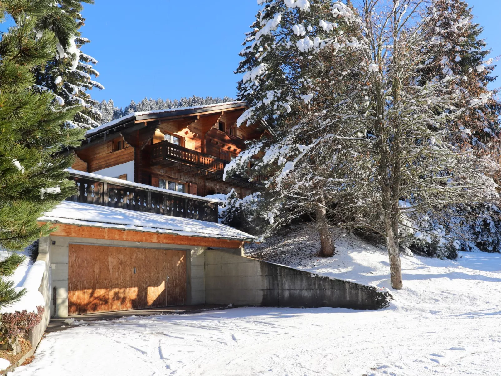 Chalet Le Haut Pré-Buiten