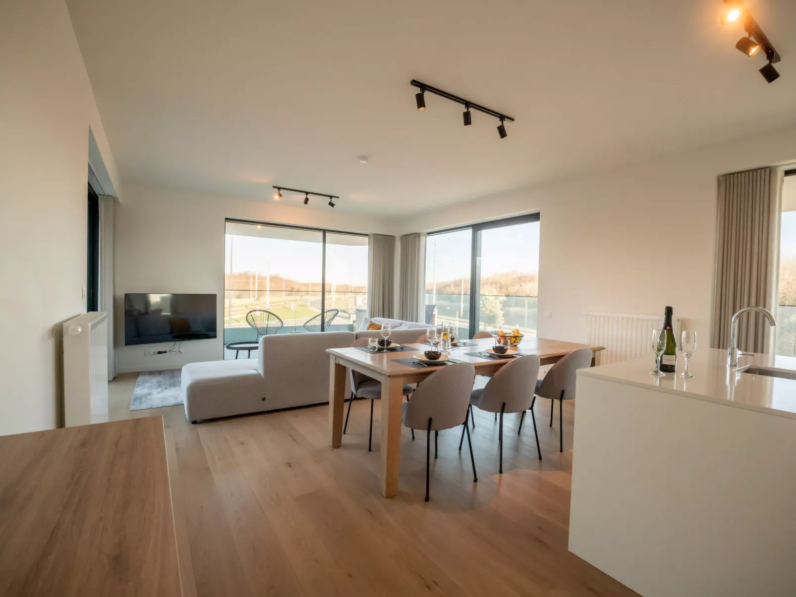 One with terrace and dune view-Binnen