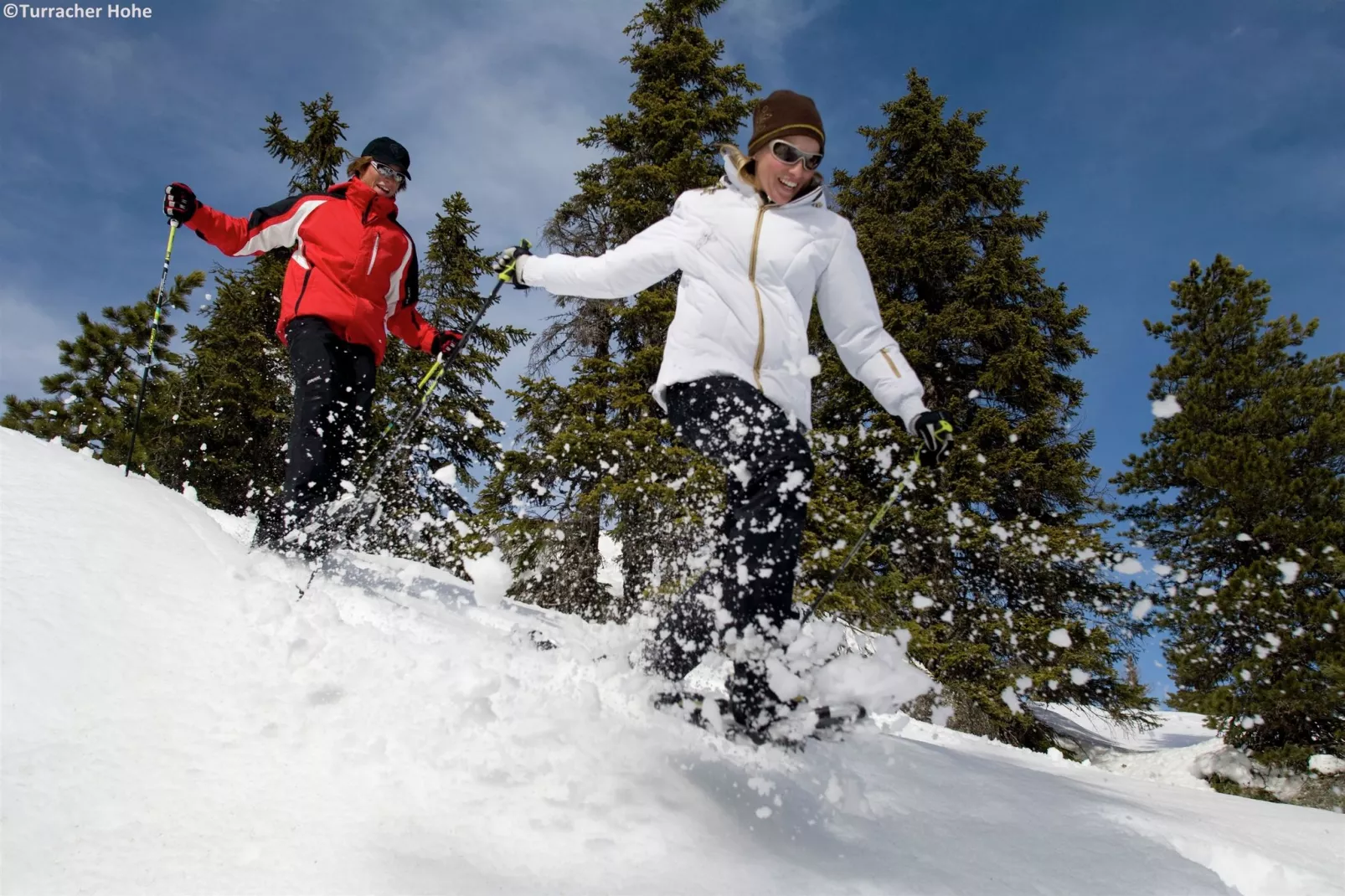 Alpenpark Turrach 14-Gebied winter 1km