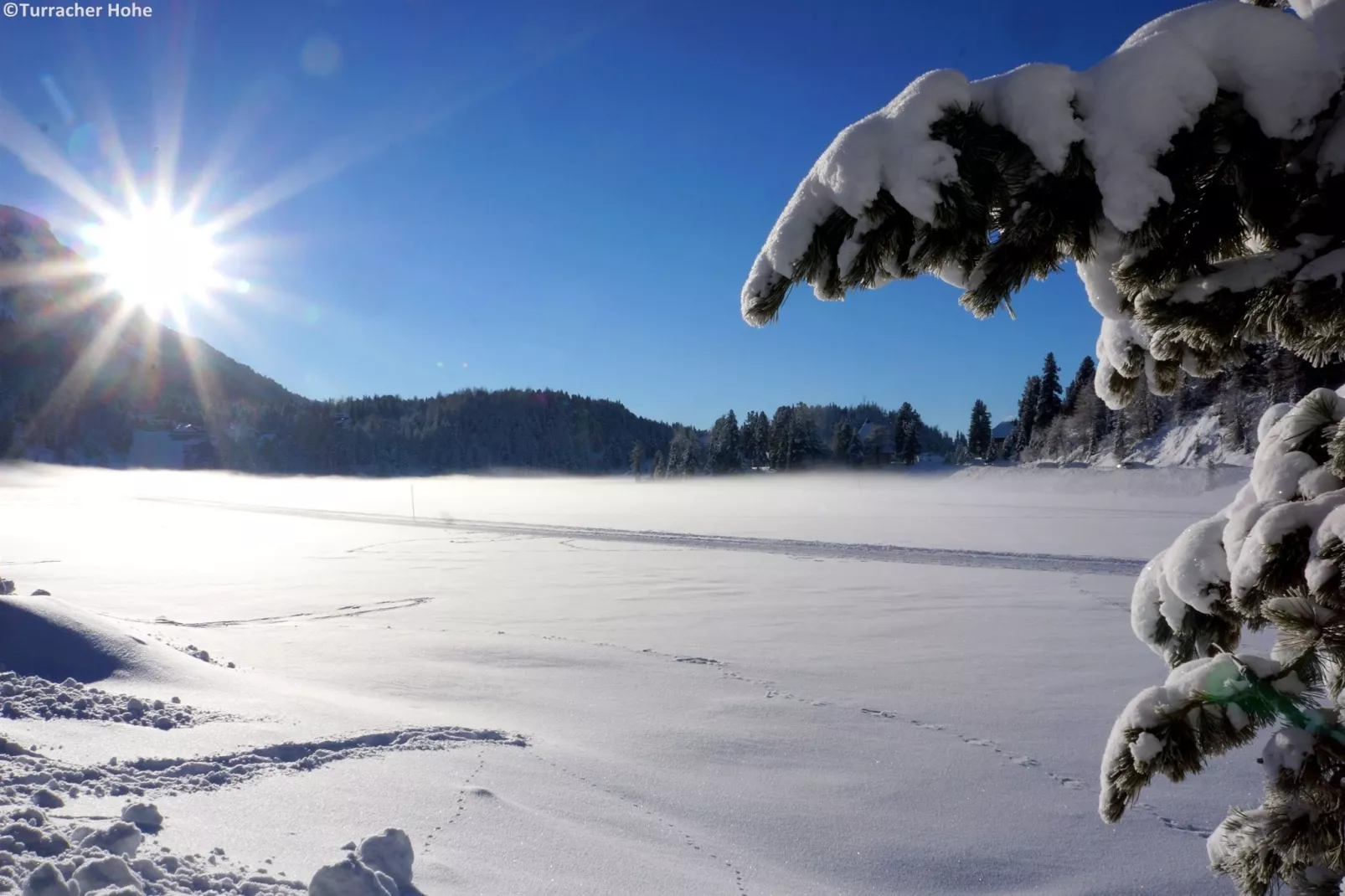 Alpenpark Turrach 14-Gebied winter 1km