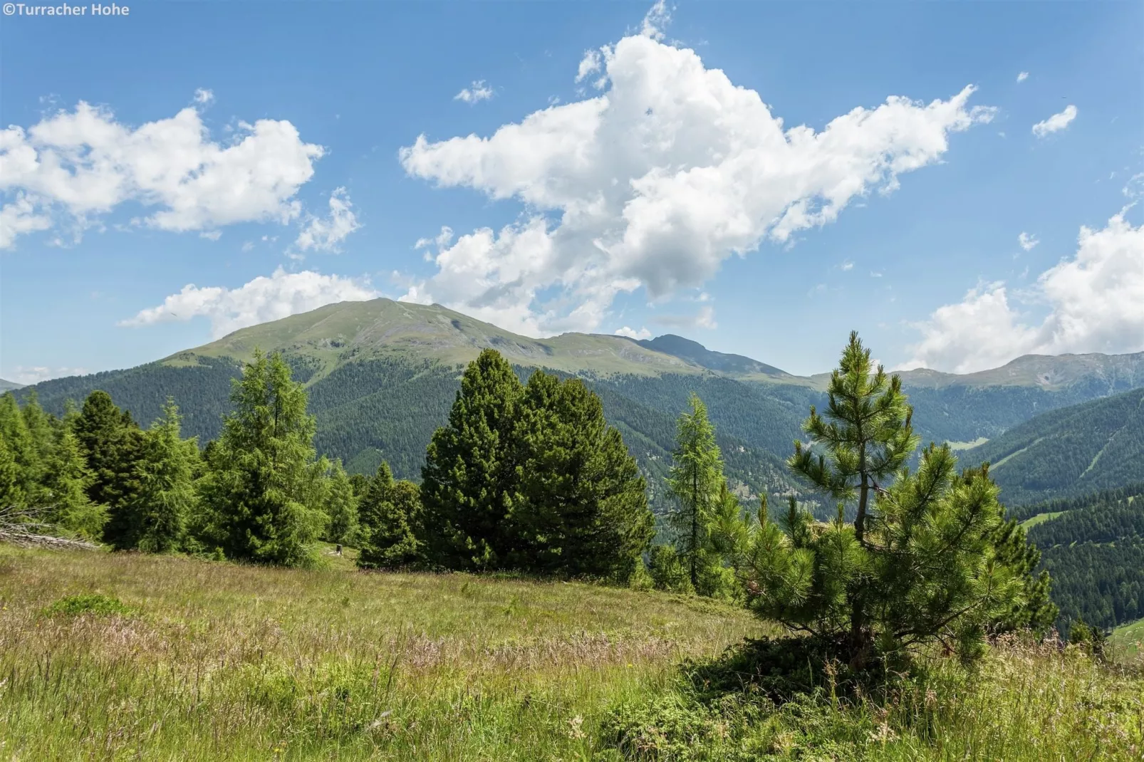 Alpenpark Turrach 14-Gebieden zomer 1km
