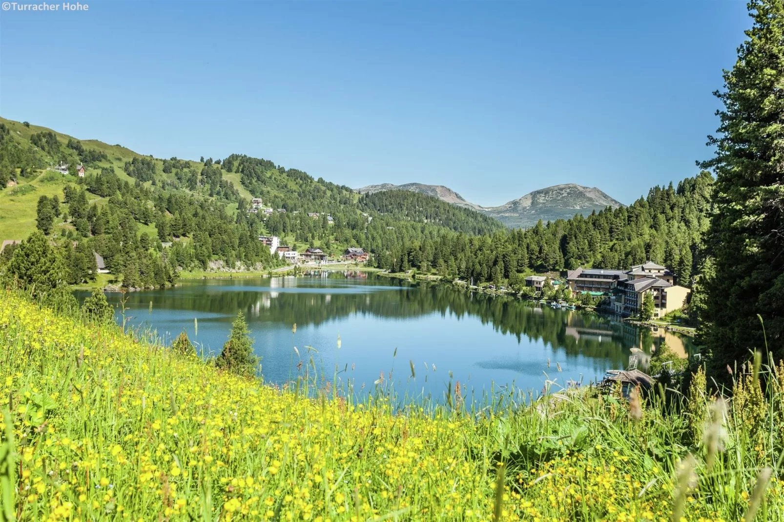 Alpenpark Turrach 14-Gebieden zomer 1km