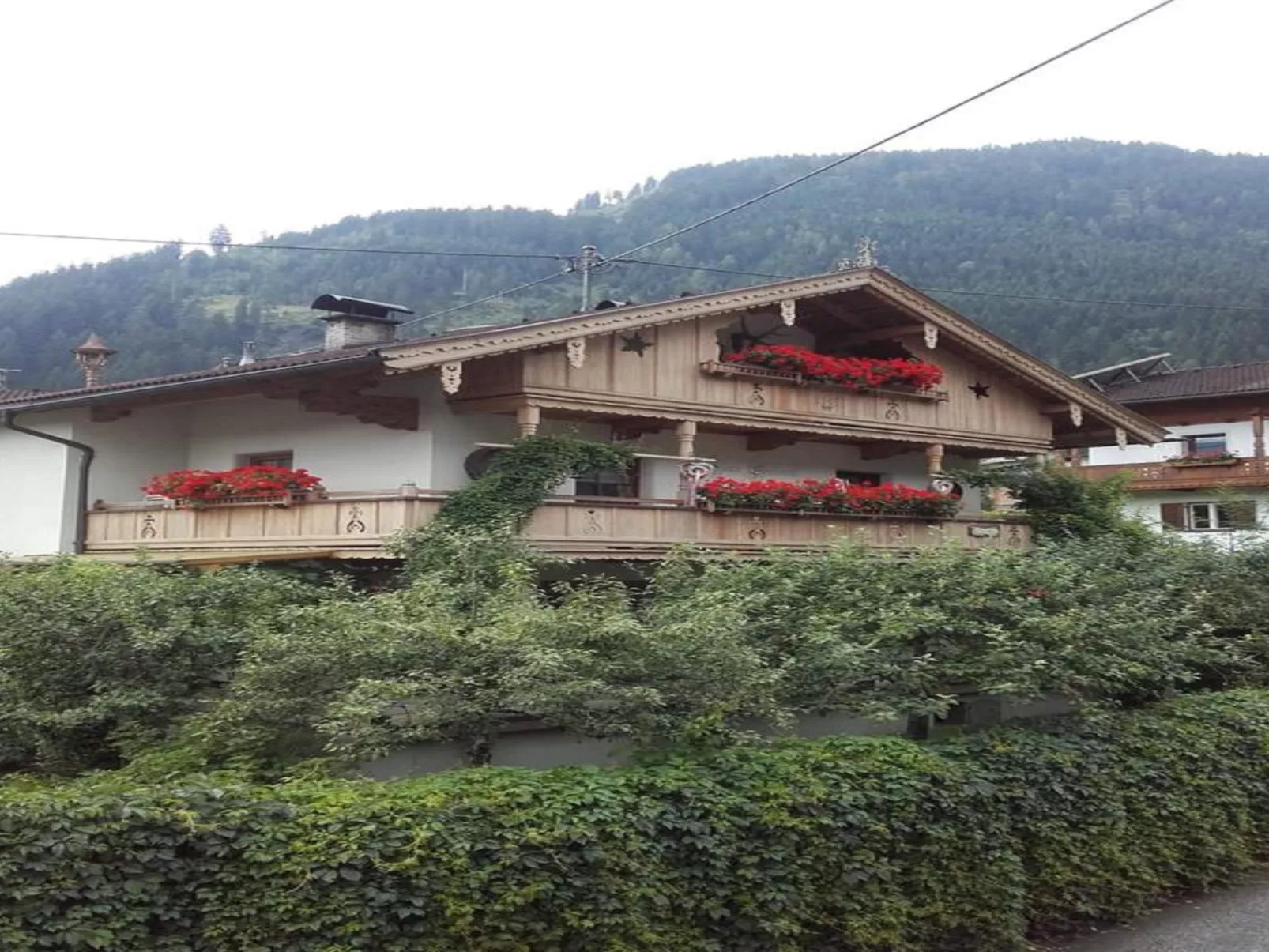 Edelweiß-Buiten