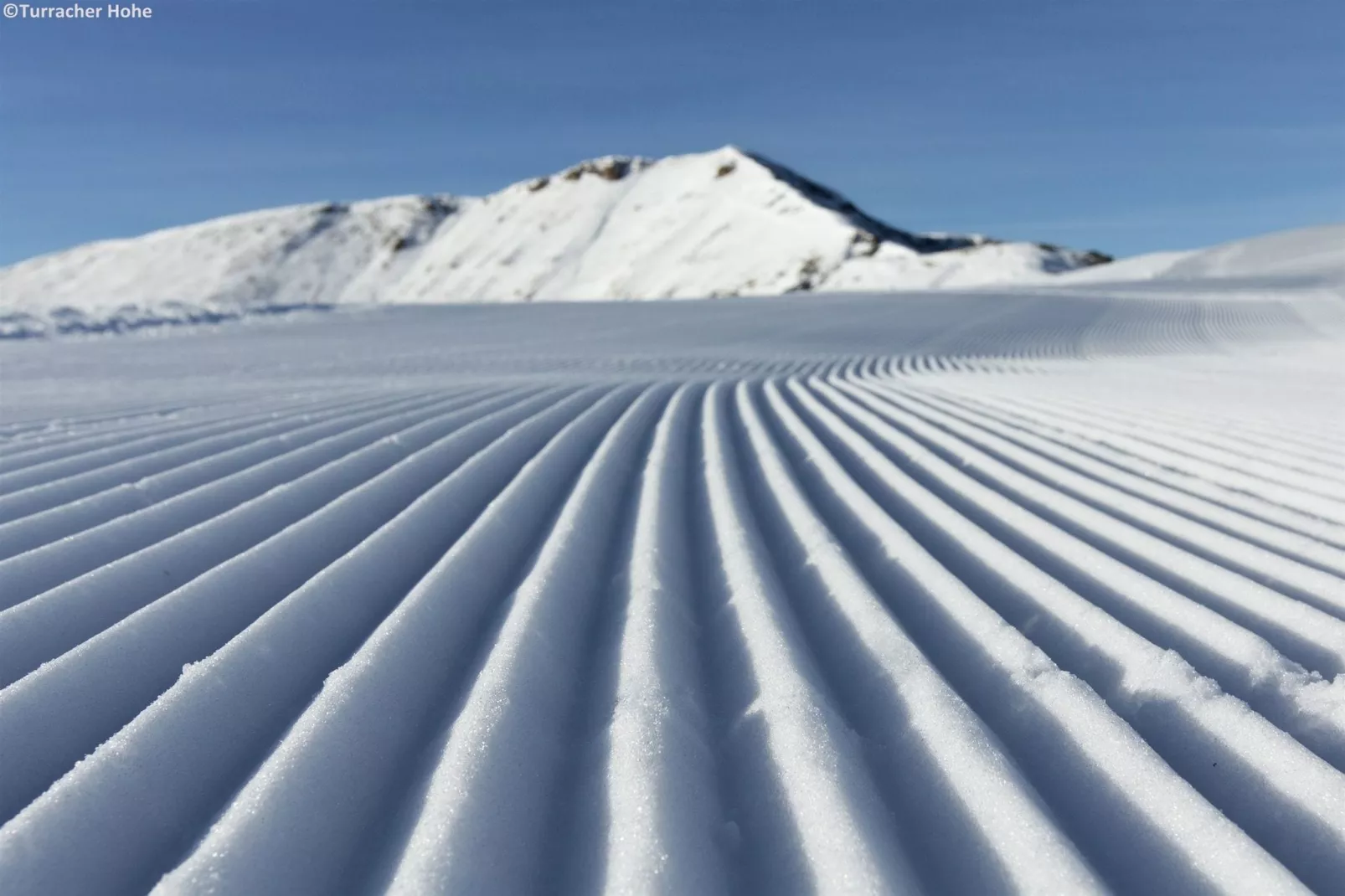 Alpenpark Turrach 5-Gebied winter 1km