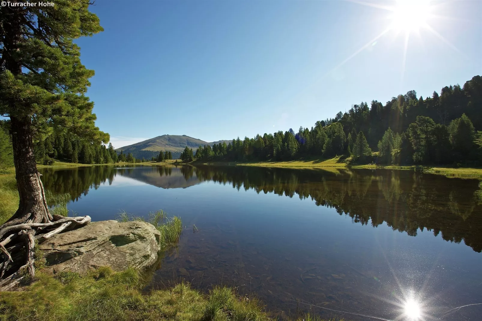 Alpenpark Turrach 5-Gebieden zomer 5km