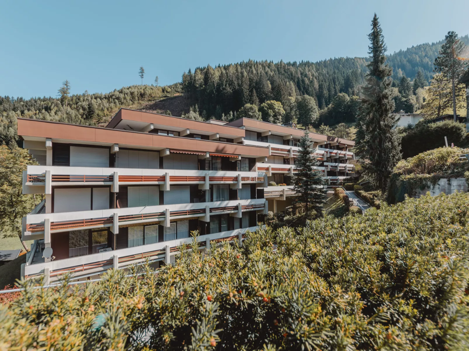 Alpenpanorama-Buiten