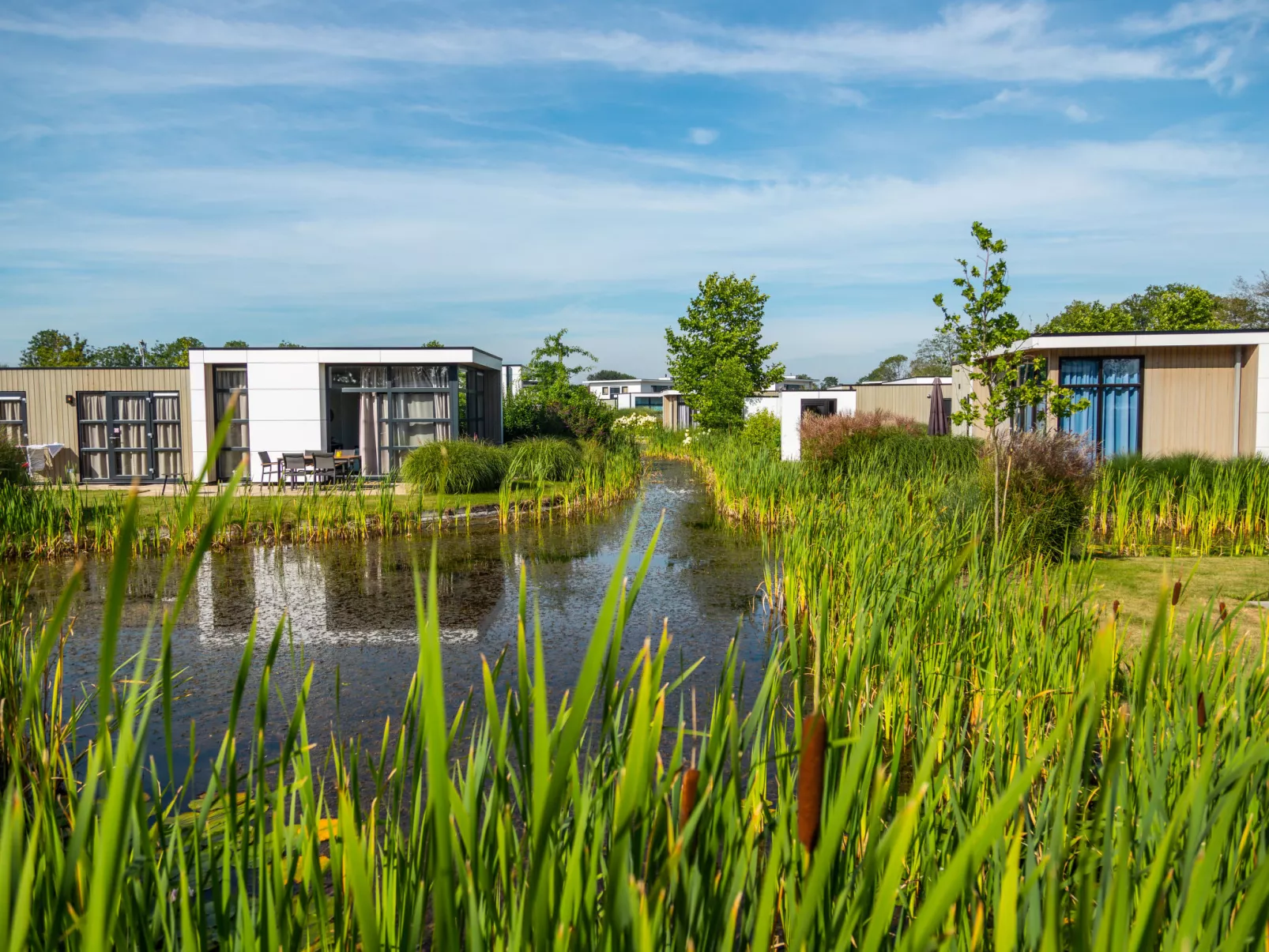 Tiny House 4-Binnen