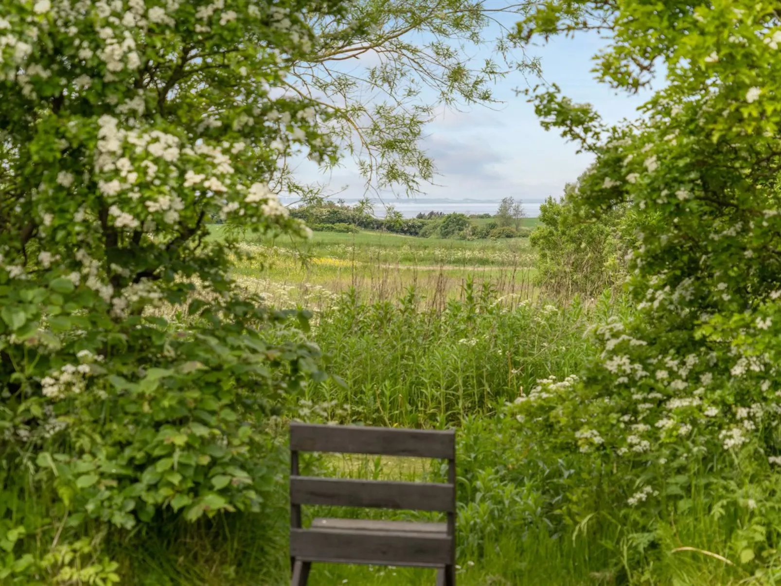 "Seppo" - 1.4km to the inlet-Buiten