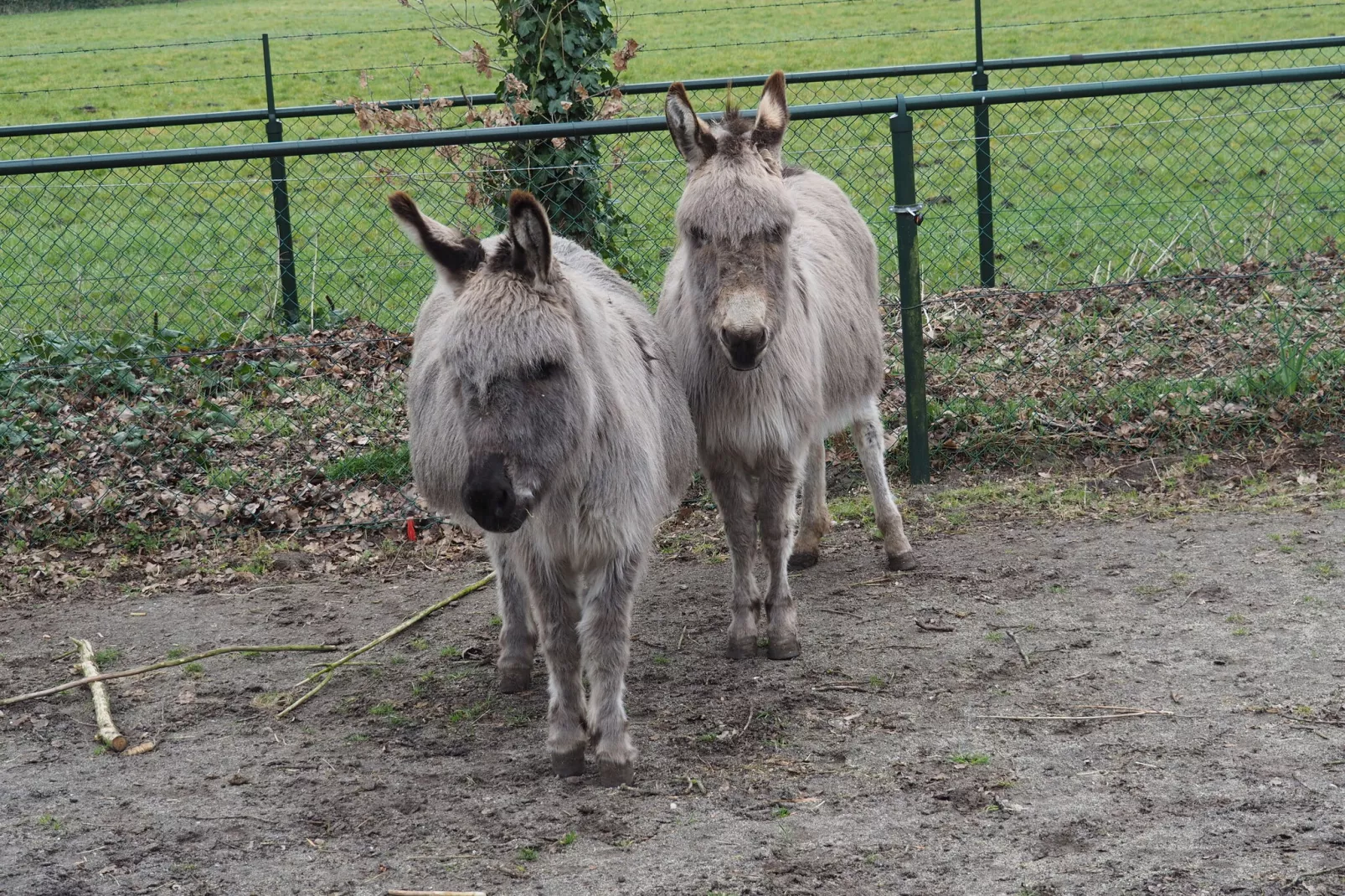 De Kempense Hoeve-Sfeer