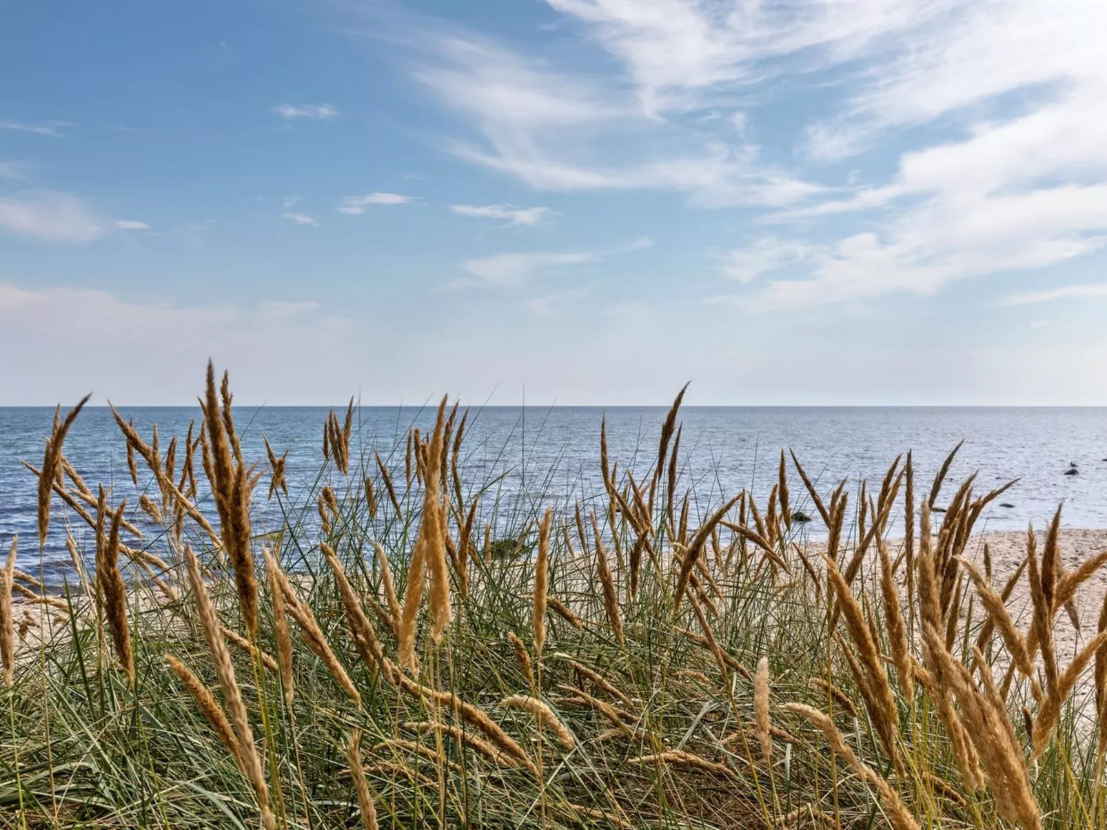 "Solfred" - 200m from the sea-Buiten