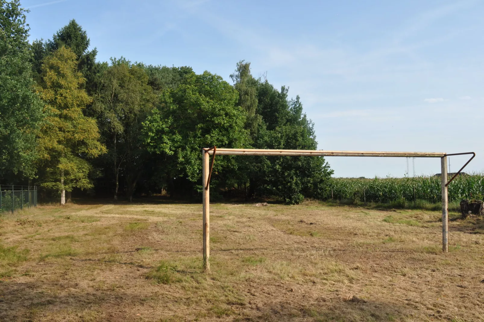 Dorpswoning In het Bos-Tuinen zomer