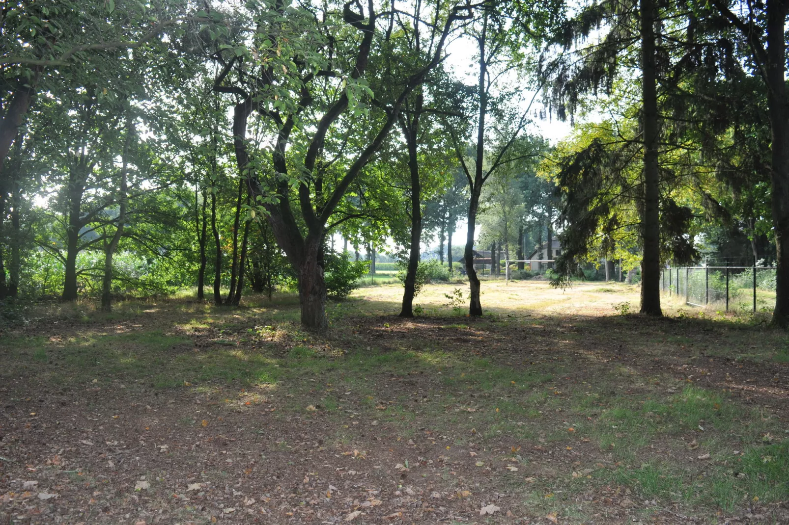 Dorpswoning In het Bos-Tuinen zomer